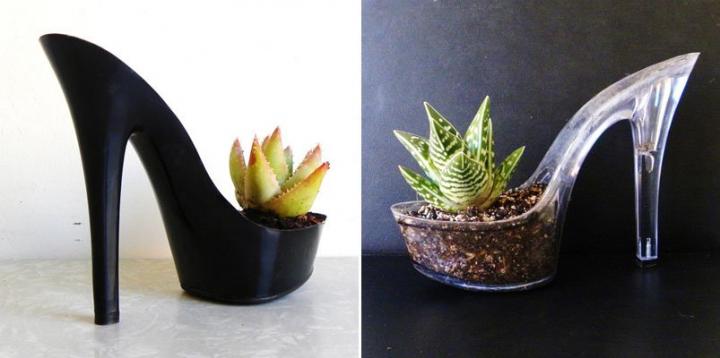 Accesorio decorativo: plantas en zapatos sexys
