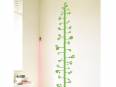 Stickers para habitaciones infantiles